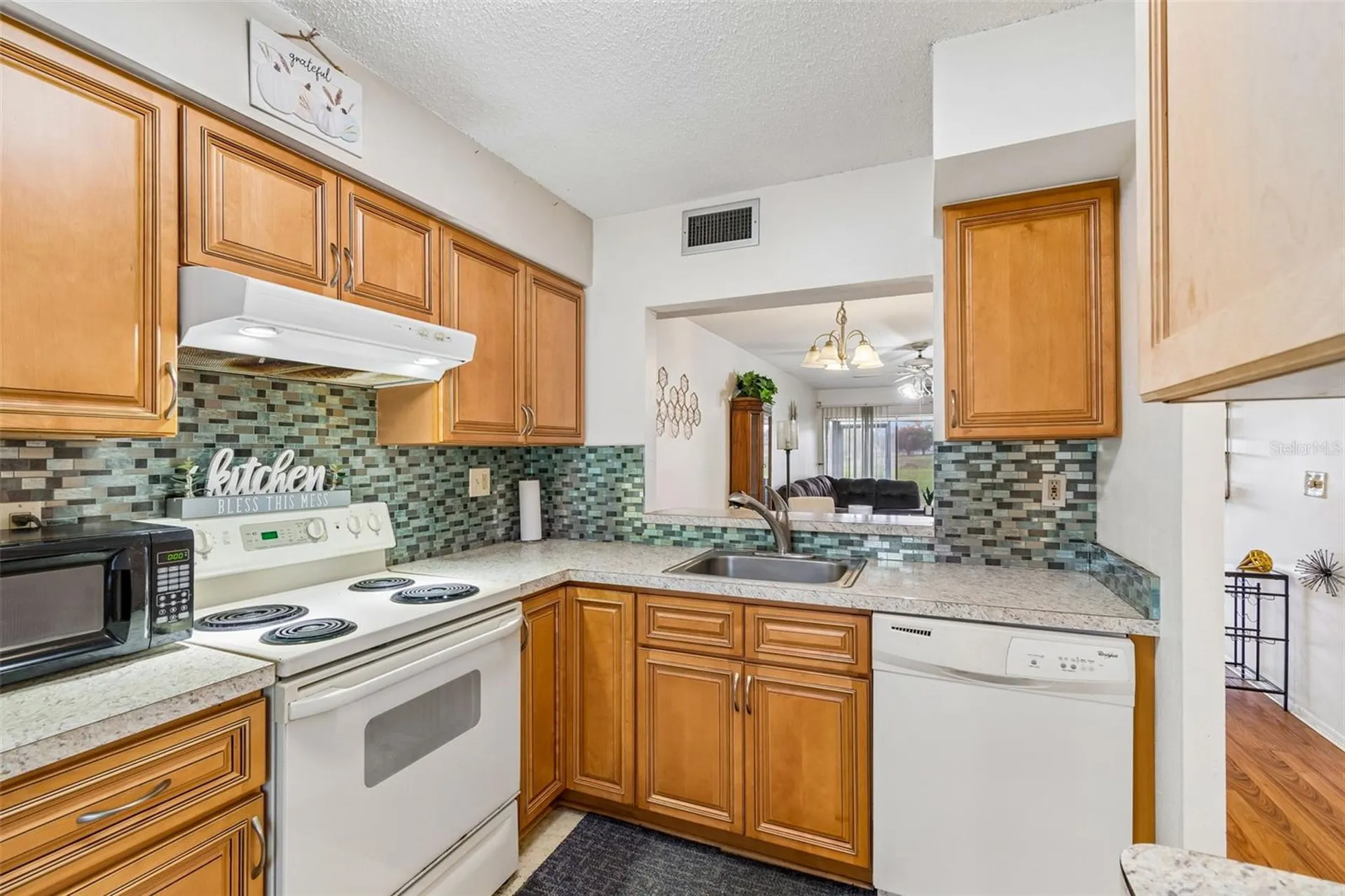 11110 Carriage Hill Drive Port Richey FL 34668