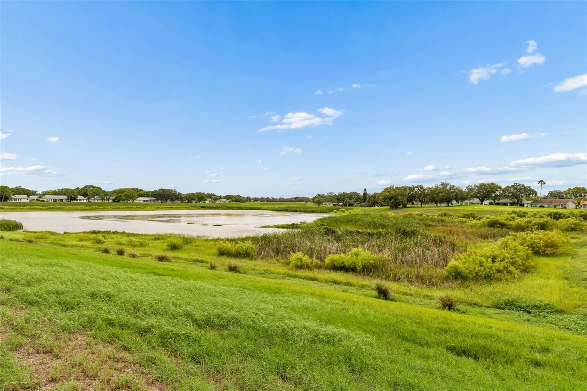 11110 Carriage Hill Drive Port Richey FL 34668