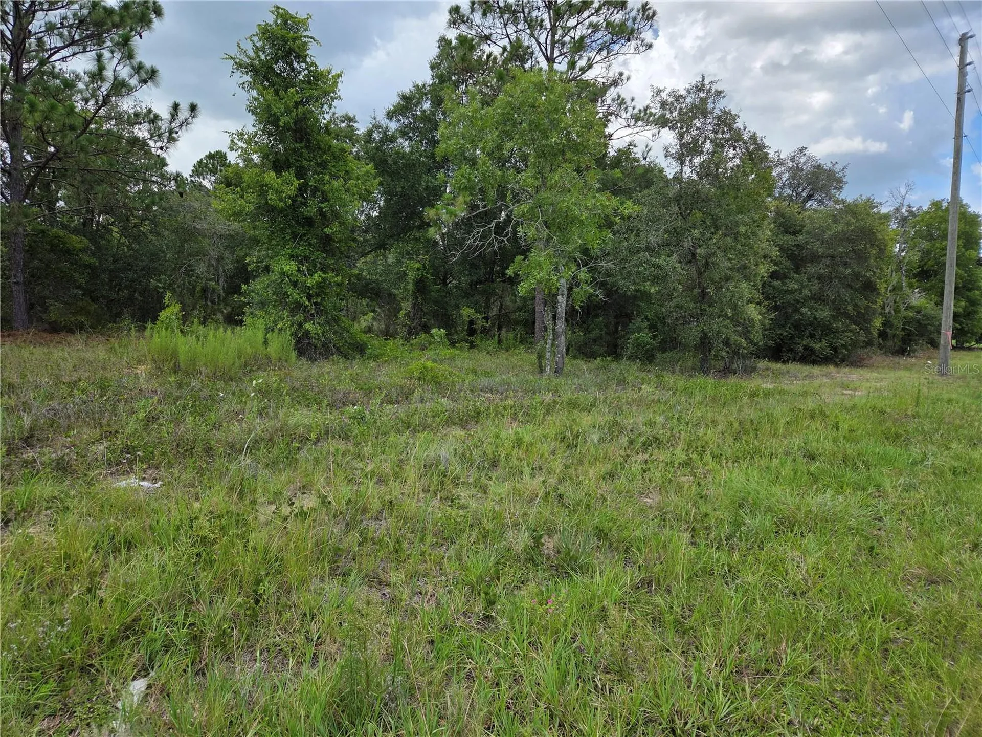 0000 SE State Road 121 Williston FL 32696