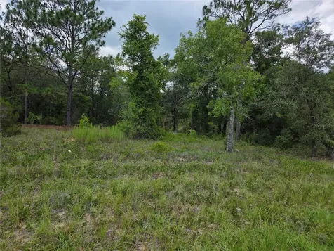 0000 SE State Road 121 Williston FL 32696