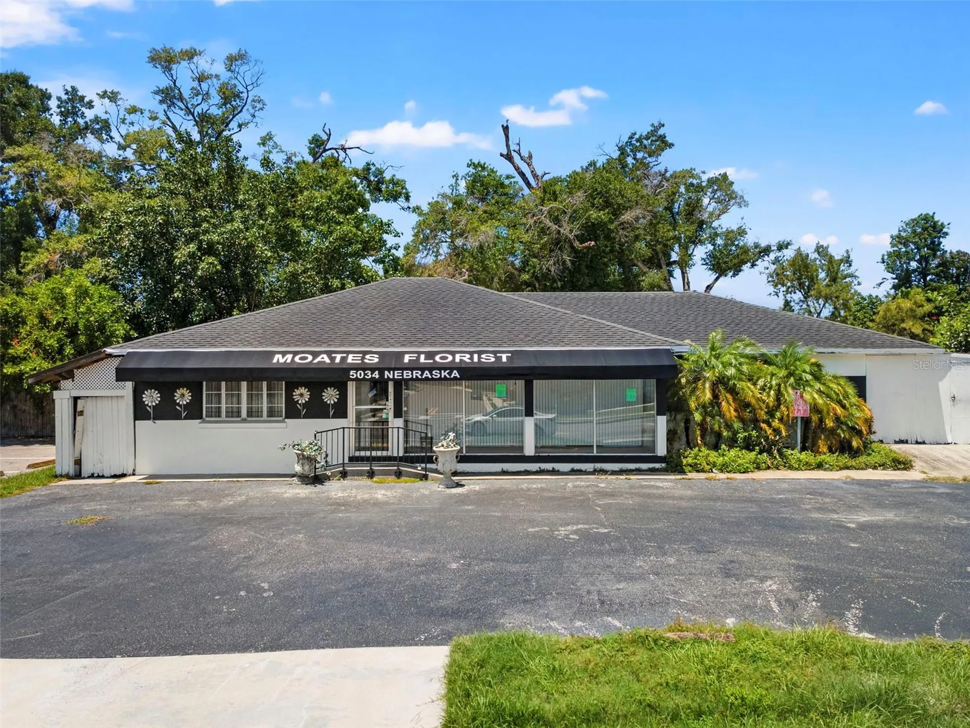 5034 N Nebraska Avenue Tampa FL 33603