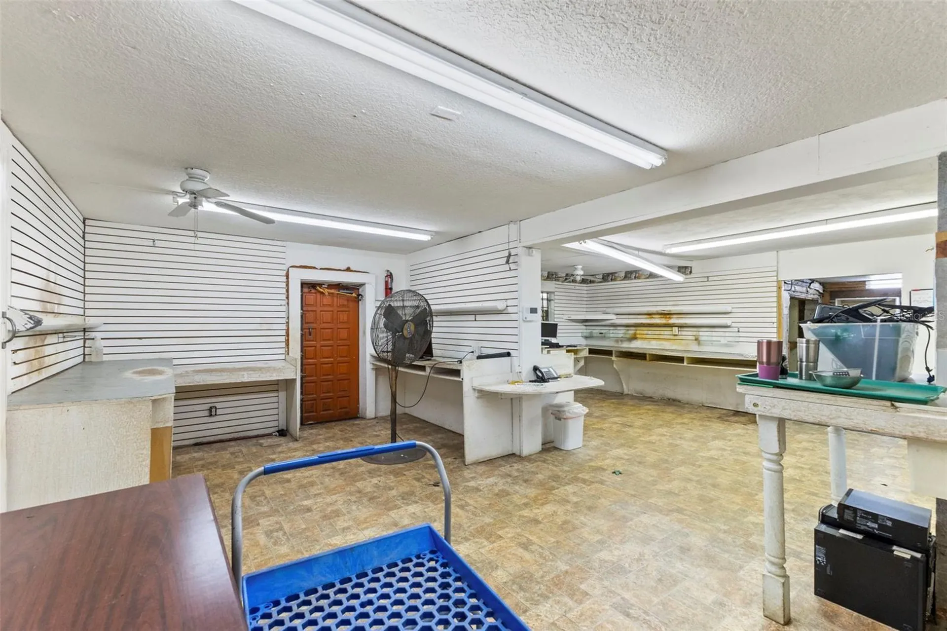 5034 N Nebraska Avenue Tampa FL 33603