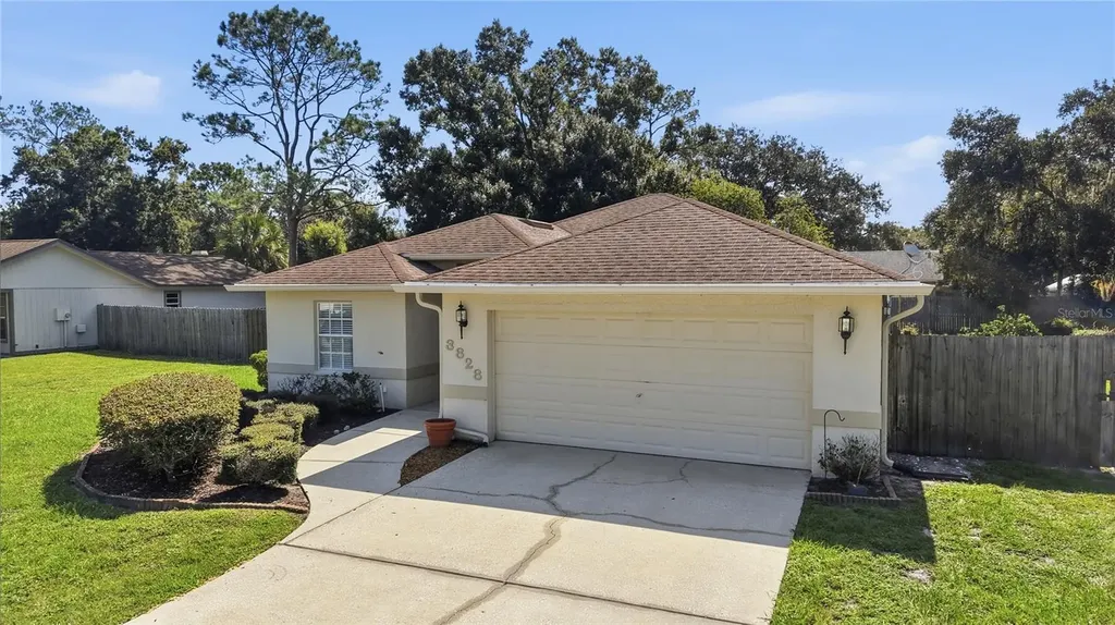 3828 Hollow Oak Place Land O Lakes FL 34639