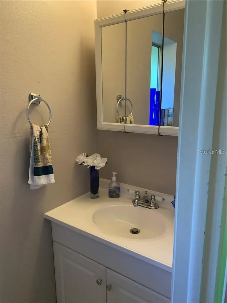 913 Buck Court Brandon FL 33511