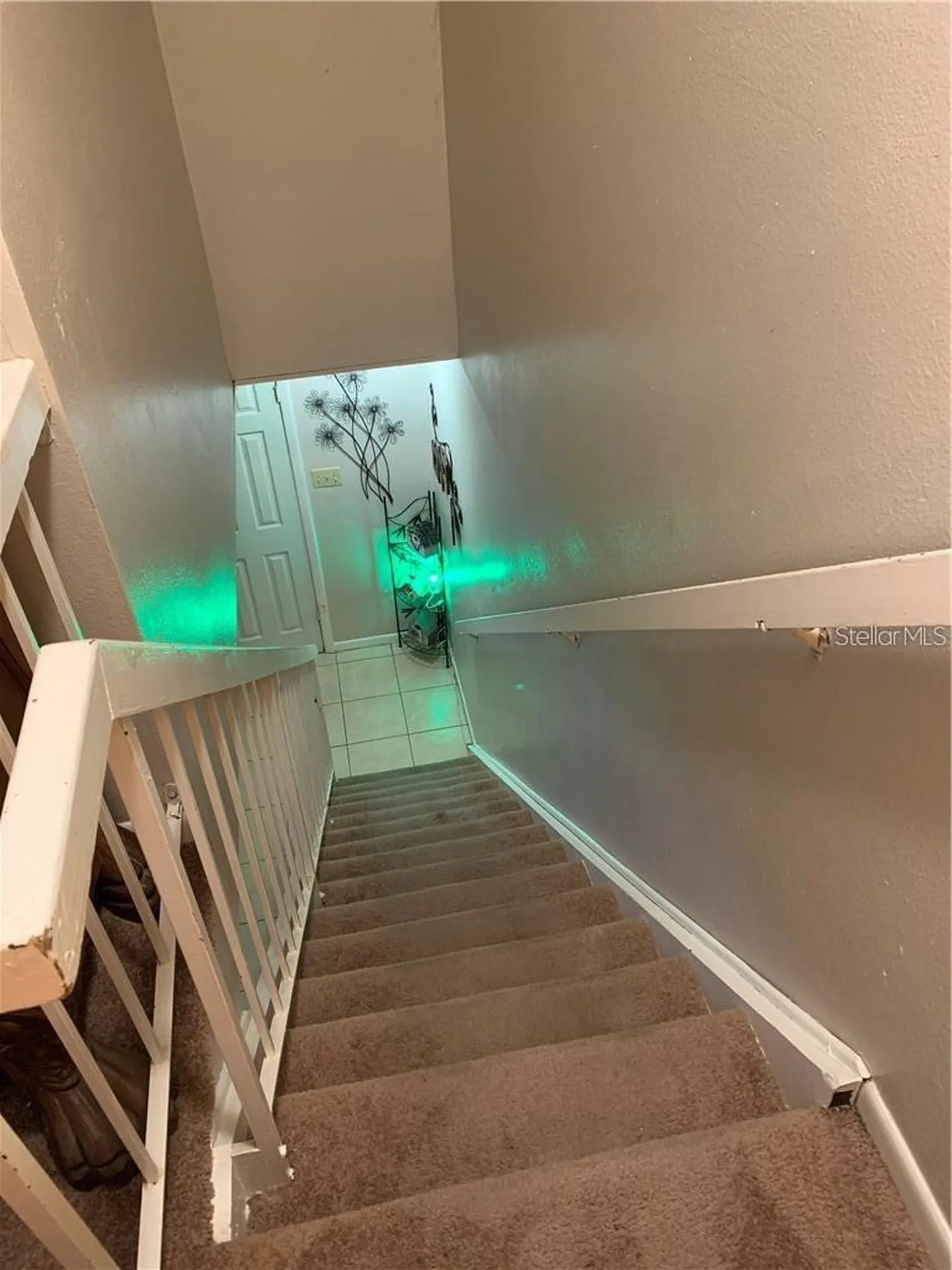 913 Buck Court Brandon FL 33511
