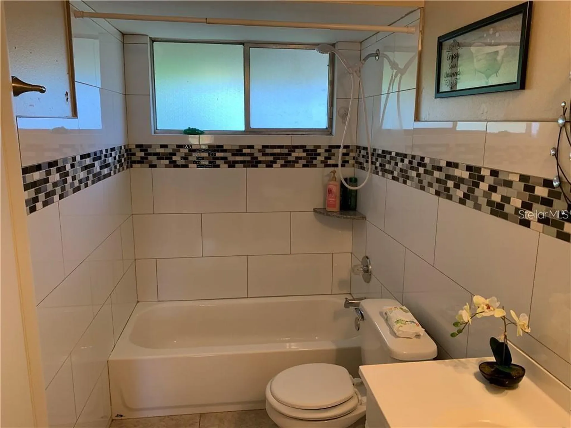 913 Buck Court Brandon FL 33511