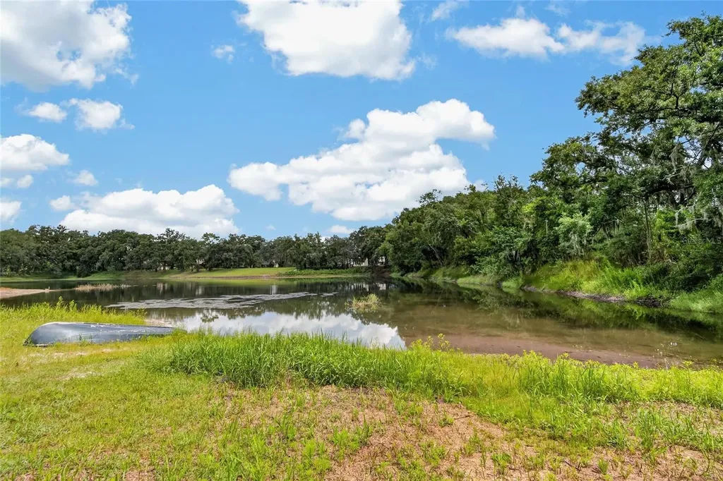 16317 Emerald Cove Lutz FL 33549