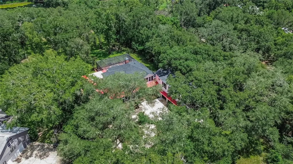 16317 Emerald Cove Lutz FL 33549