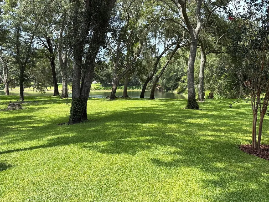 16317 Emerald Cove Lutz FL 33549