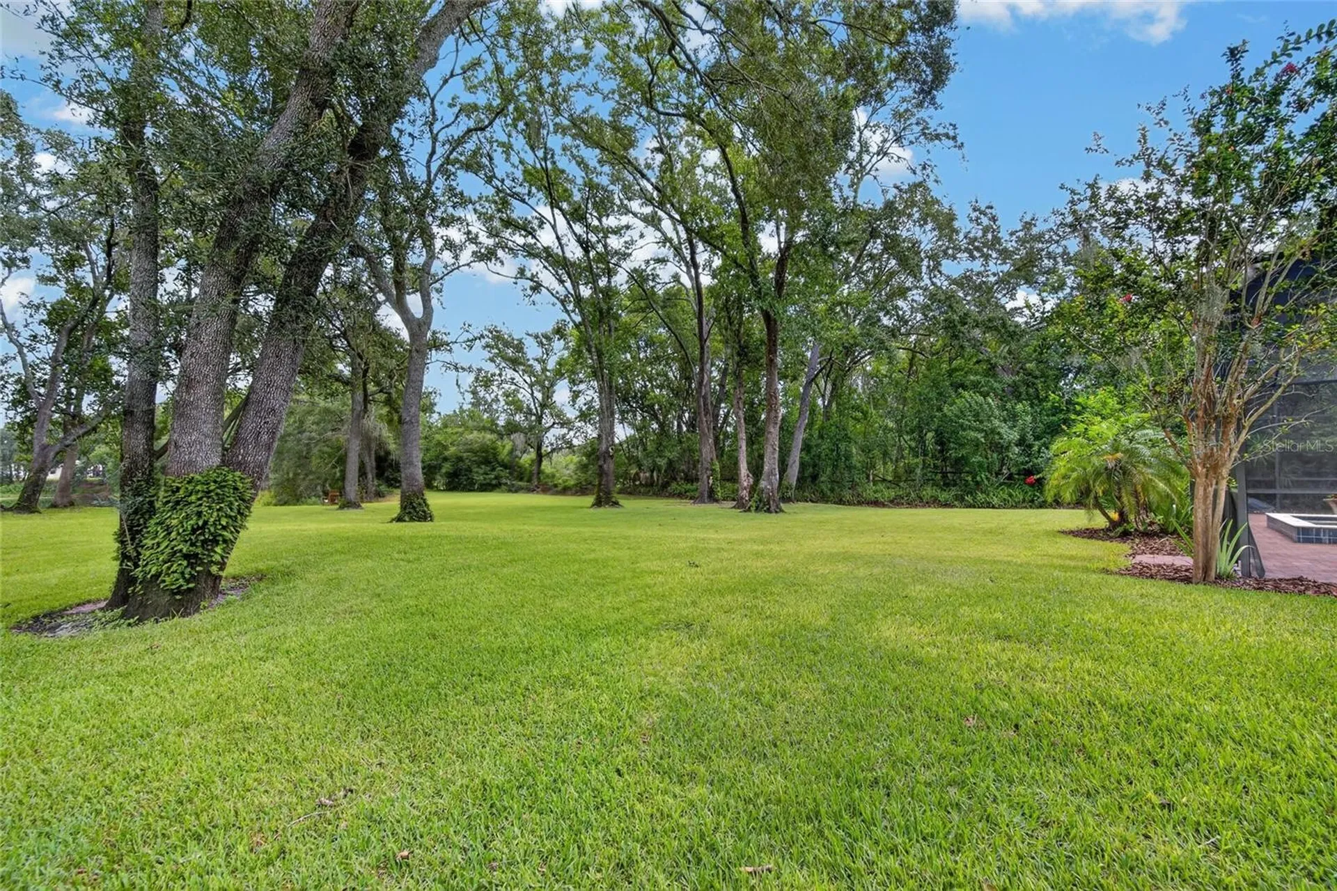 16317 Emerald Cove Lutz FL 33549
