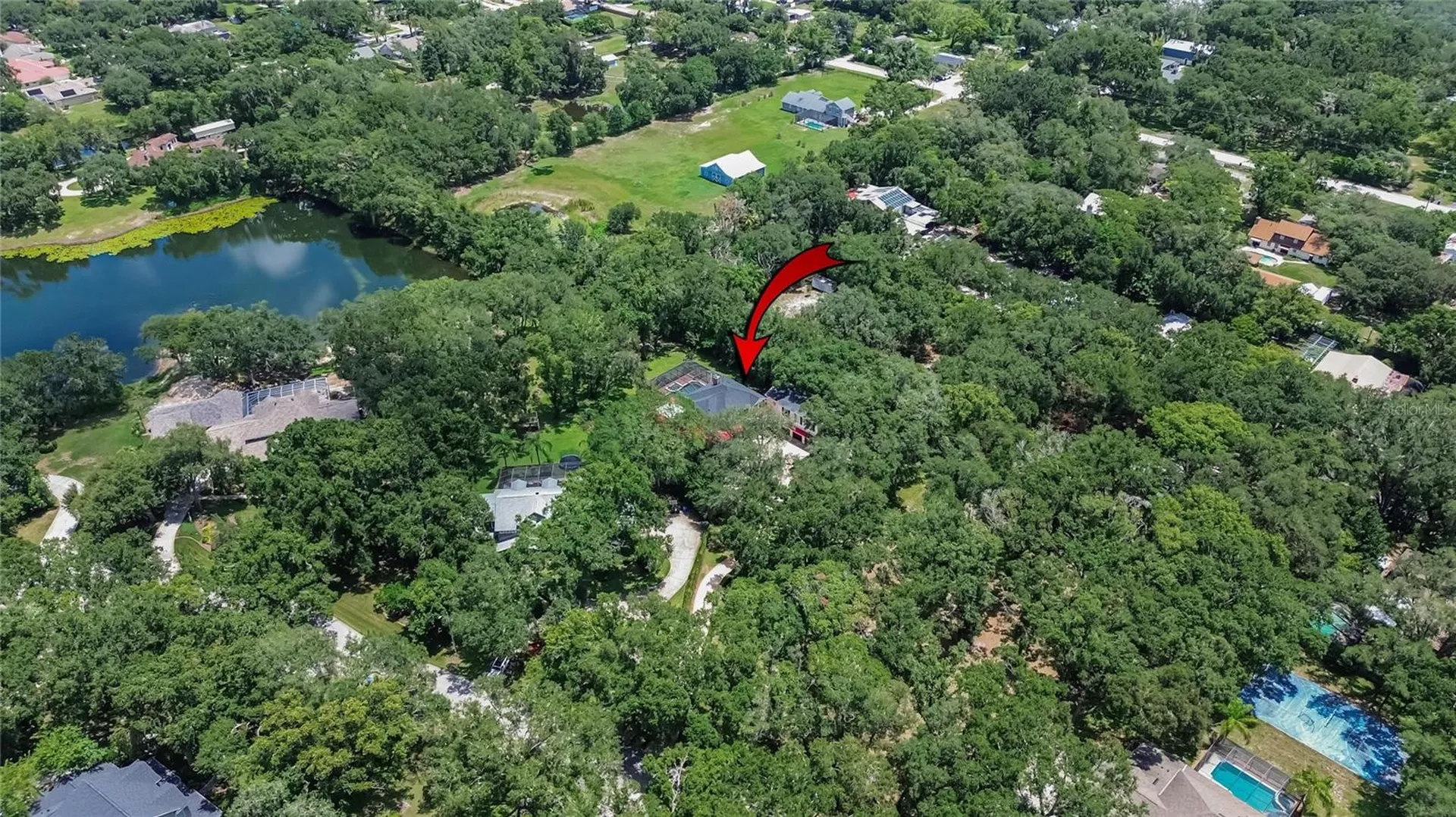 16317 Emerald Cove Lutz FL 33549