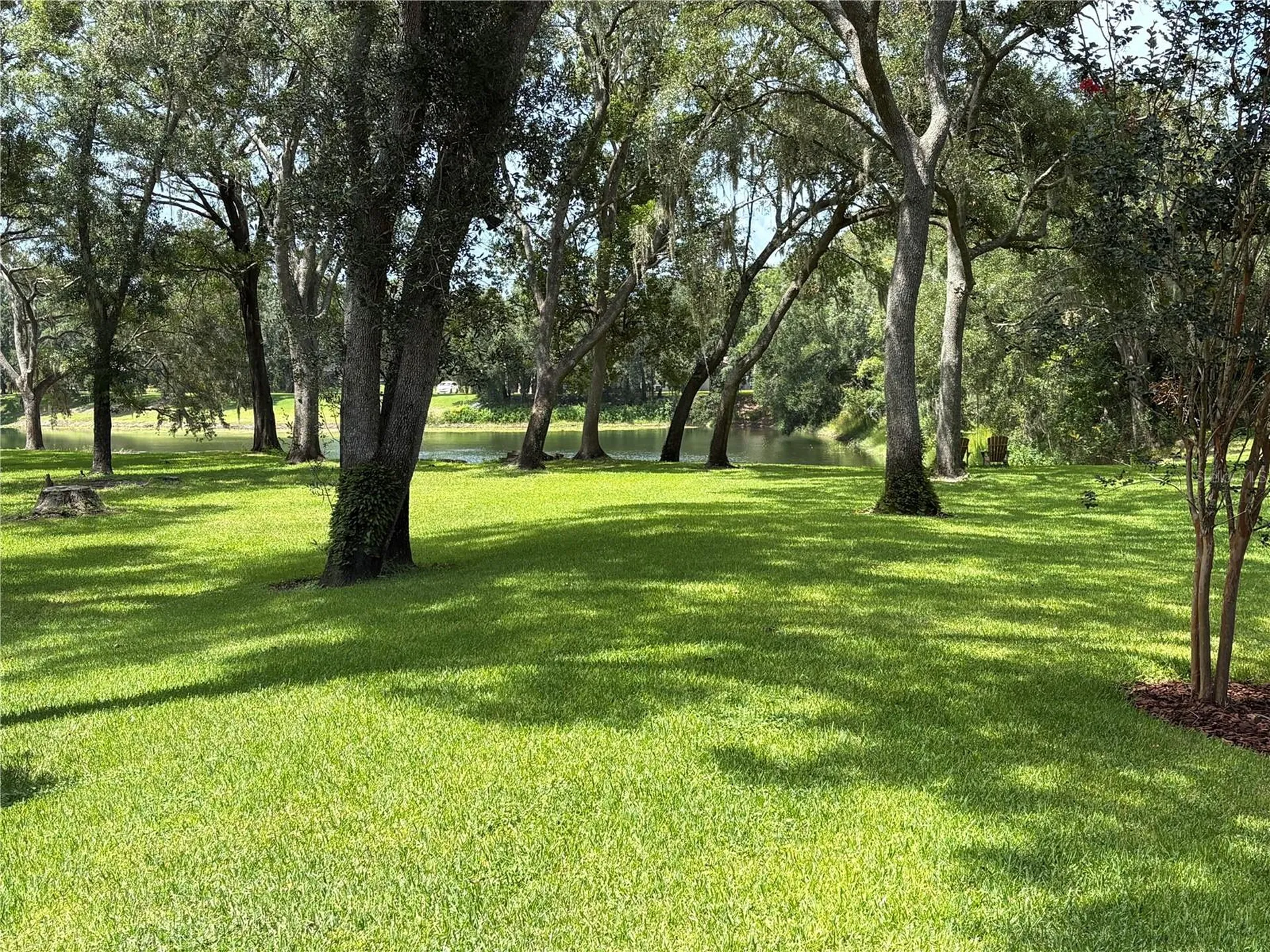 16317 Emerald Cove Lutz FL 33549