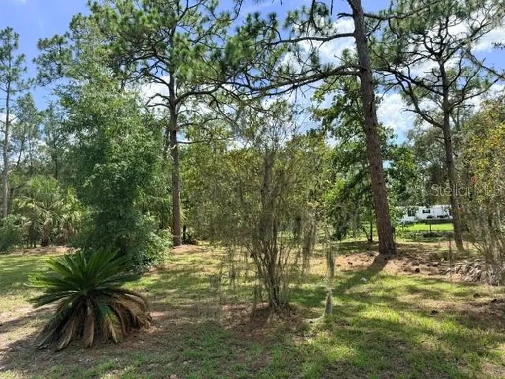 17044 Eldridge Avenue Spring Hill FL 34610
