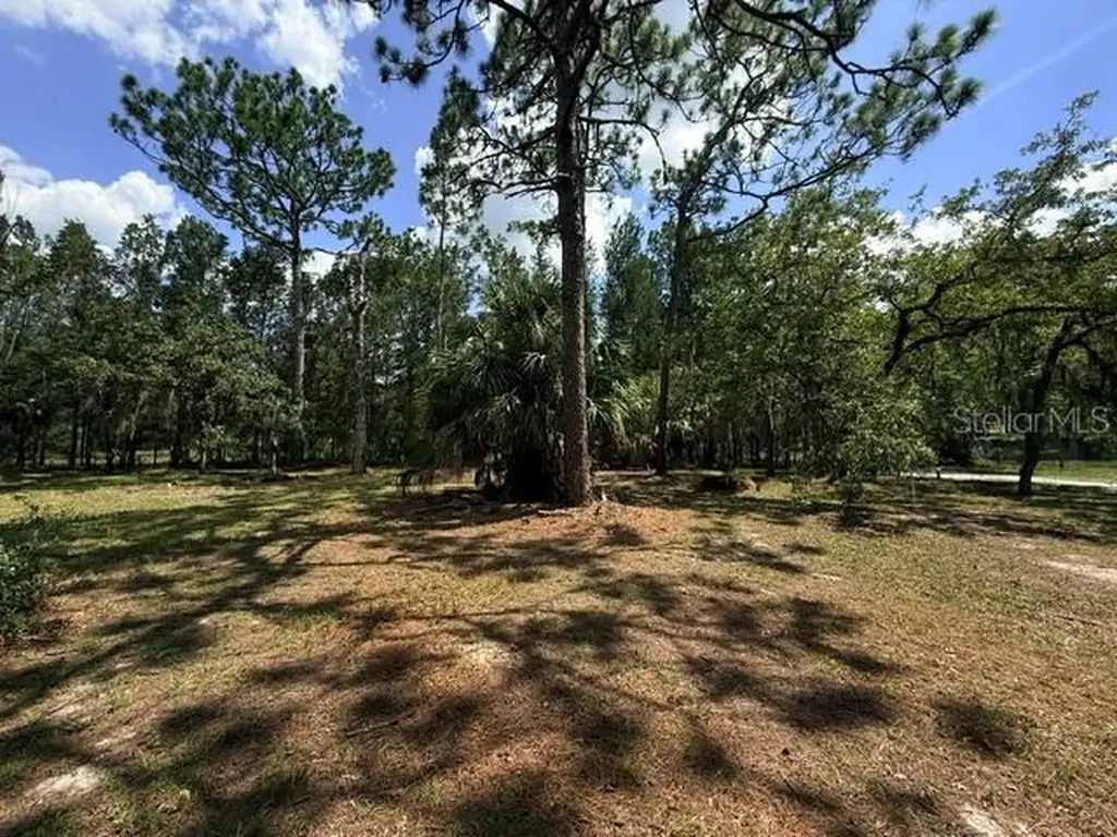17044 Eldridge Avenue Spring Hill FL 34610