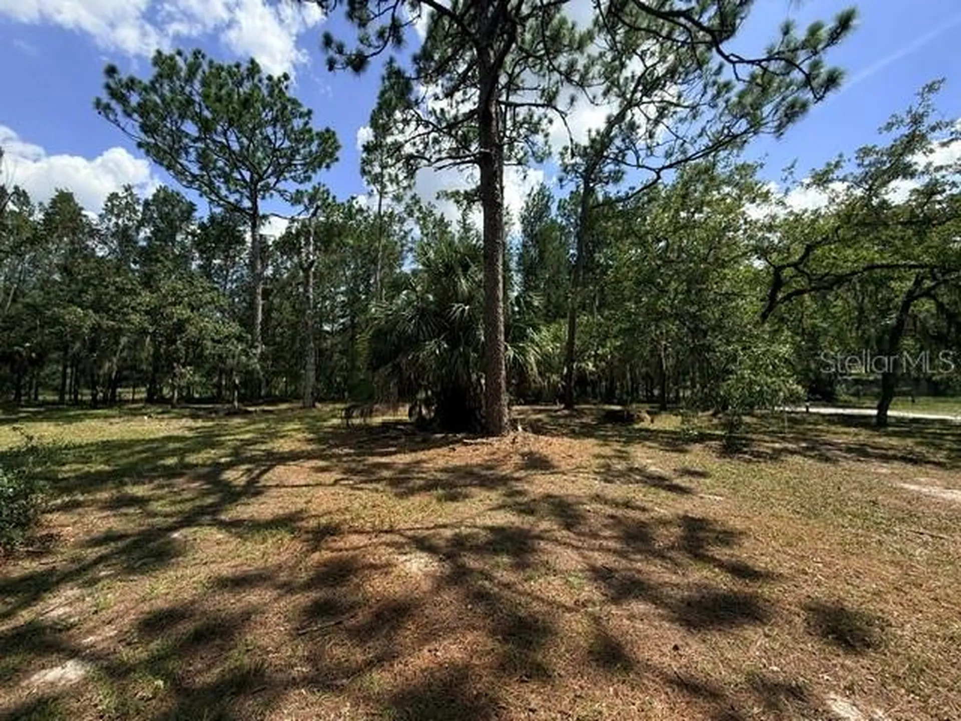 17044 Eldridge Avenue Spring Hill FL 34610