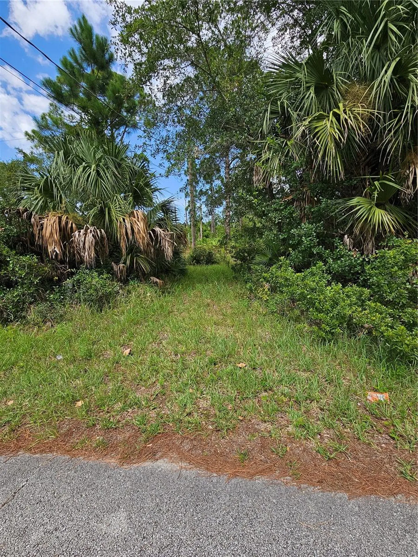 1715 Tatum Boulevard New Smyrna Beach FL 32168