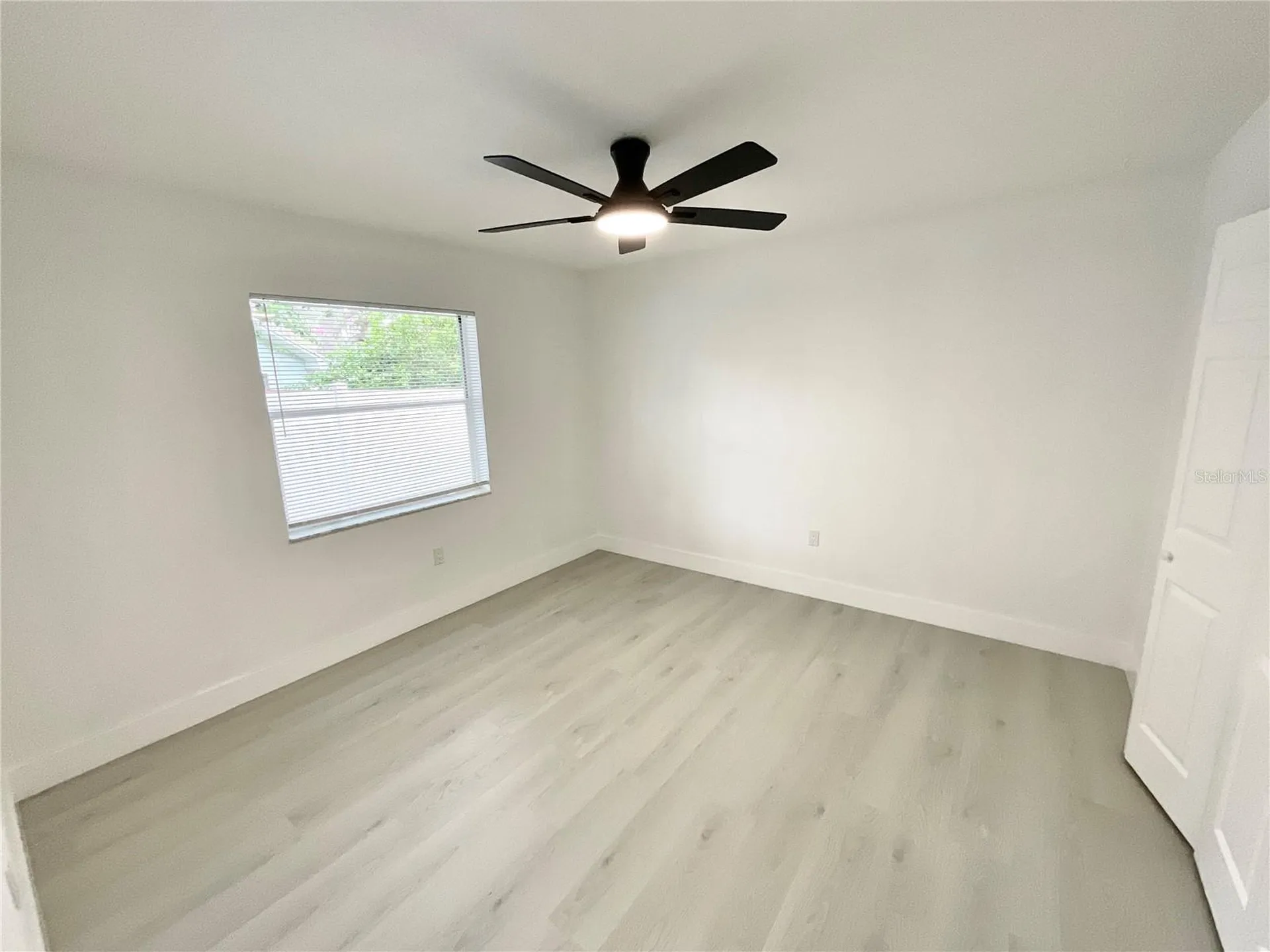 1307 Belcher Drive Tarpon Springs FL 34689