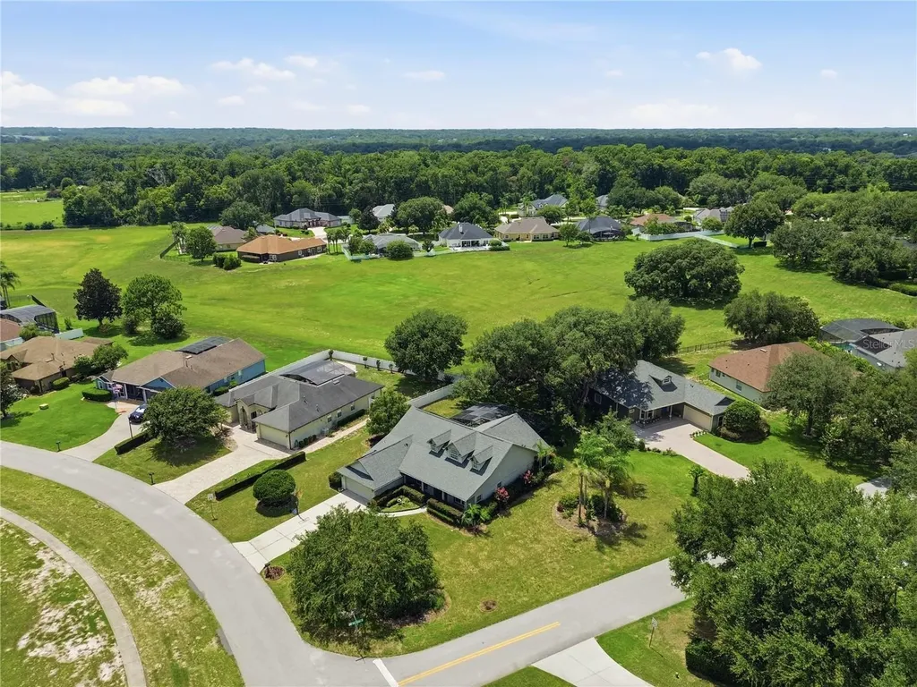 23354 Oak Prairie Circle Sorrento FL 32776