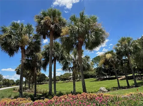 8394 SW 82nd Loop Ocala FL 34481
