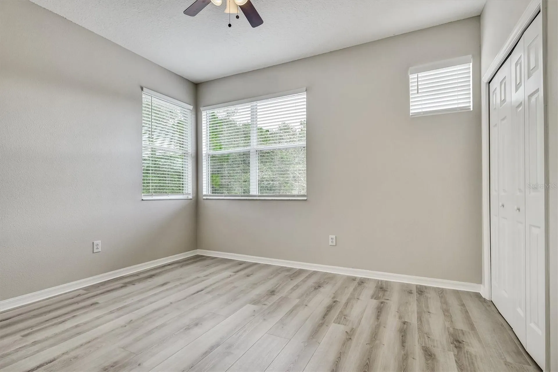 8169 Stone Leaf Lane Tampa FL 33647