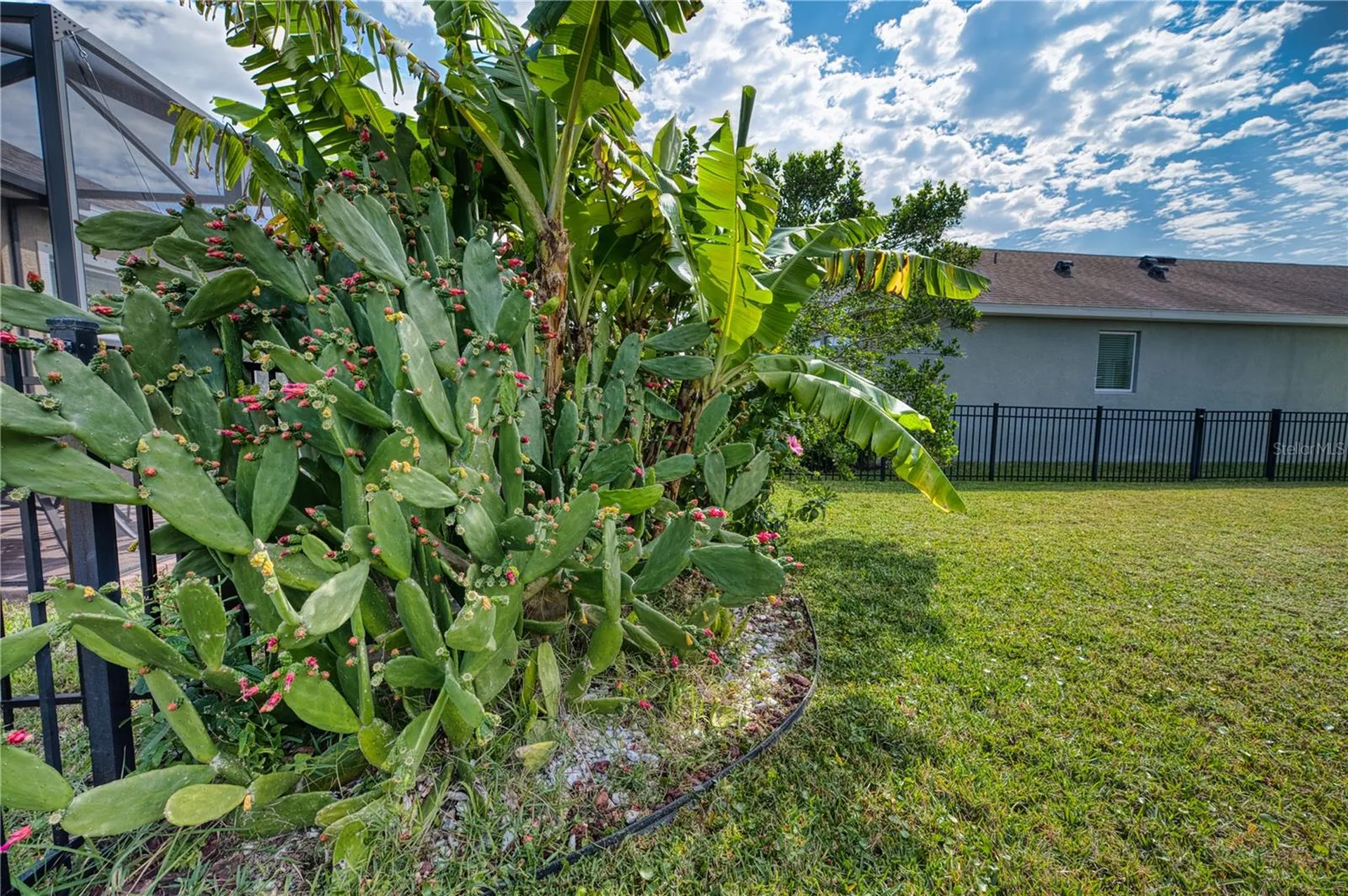 6136 Voyagers Place Apollo Beach FL 33572