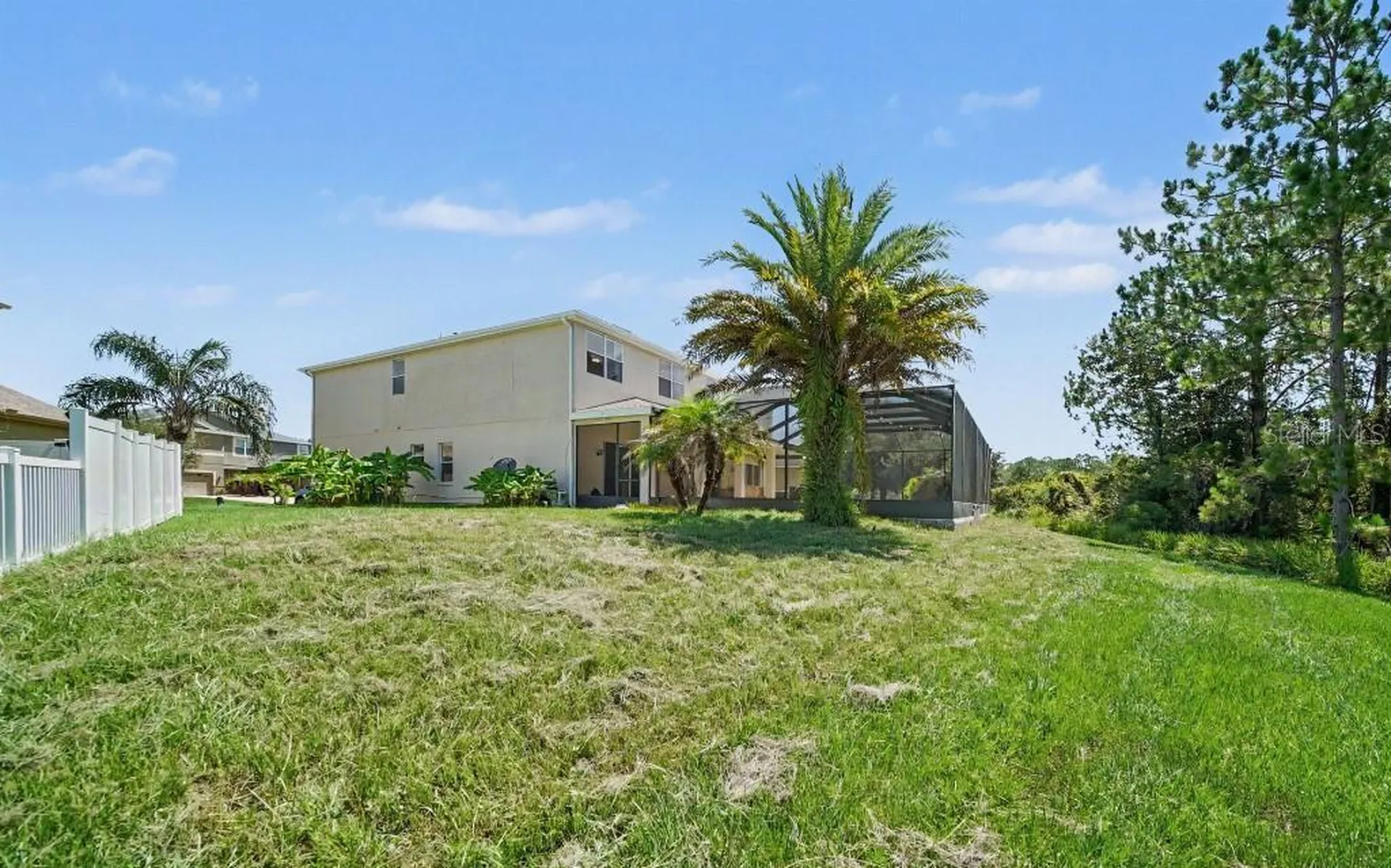 20009 Oakflower Avenue Tampa FL 33647