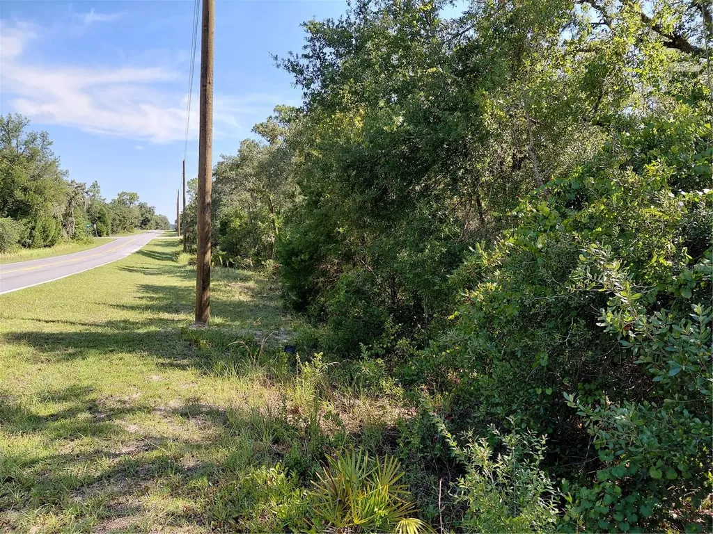 Wheystone Drive Webster FL 33597