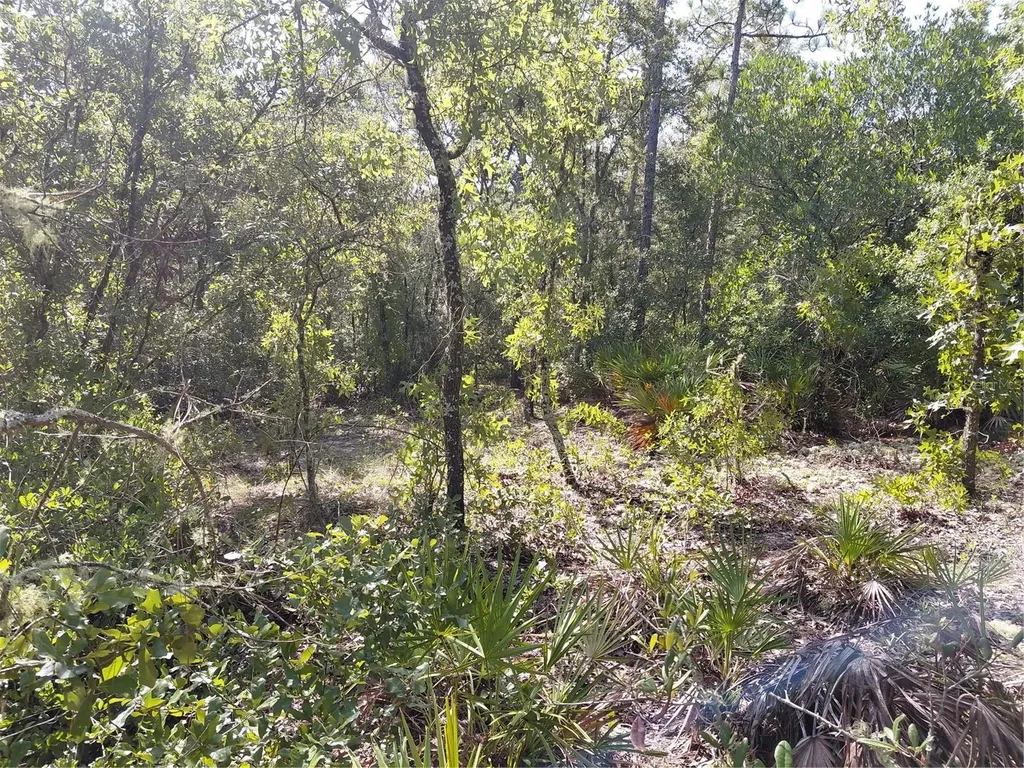 Wheystone Drive Webster FL 33597