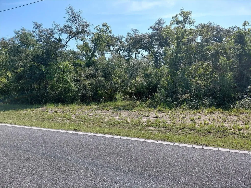 Wheystone Drive Webster FL 33597