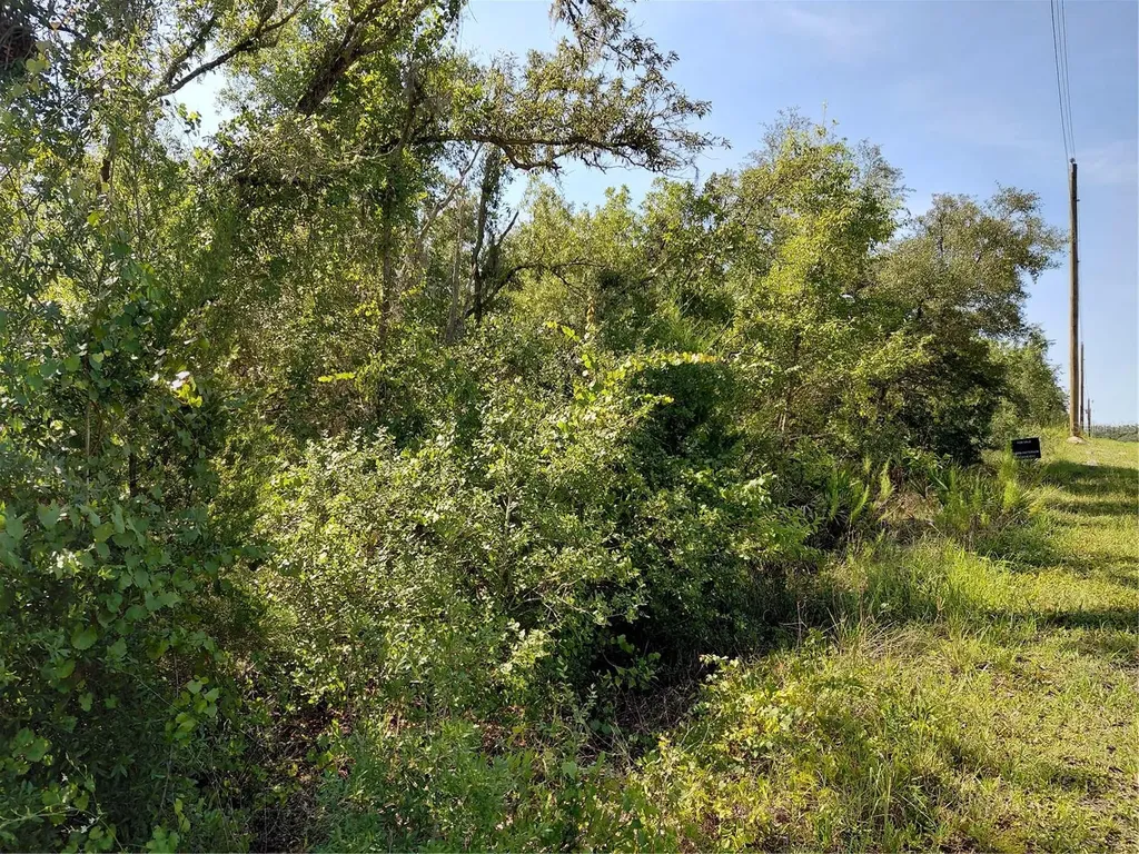 Wheystone Drive Webster FL 33597