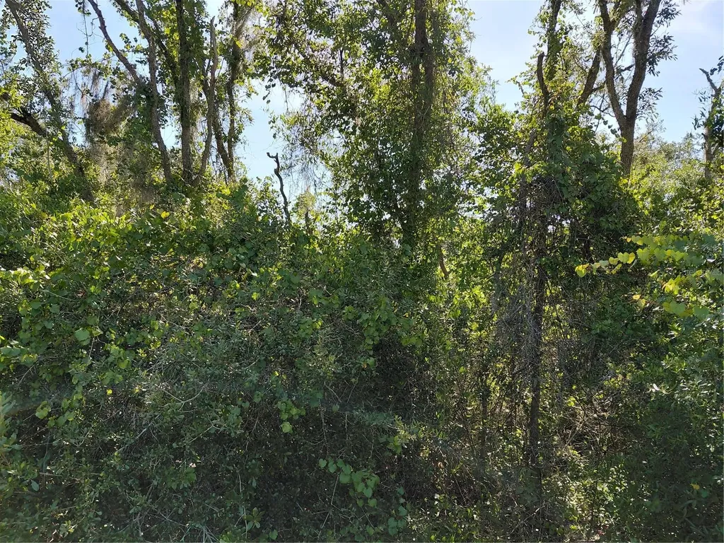 Wheystone Drive Webster FL 33597