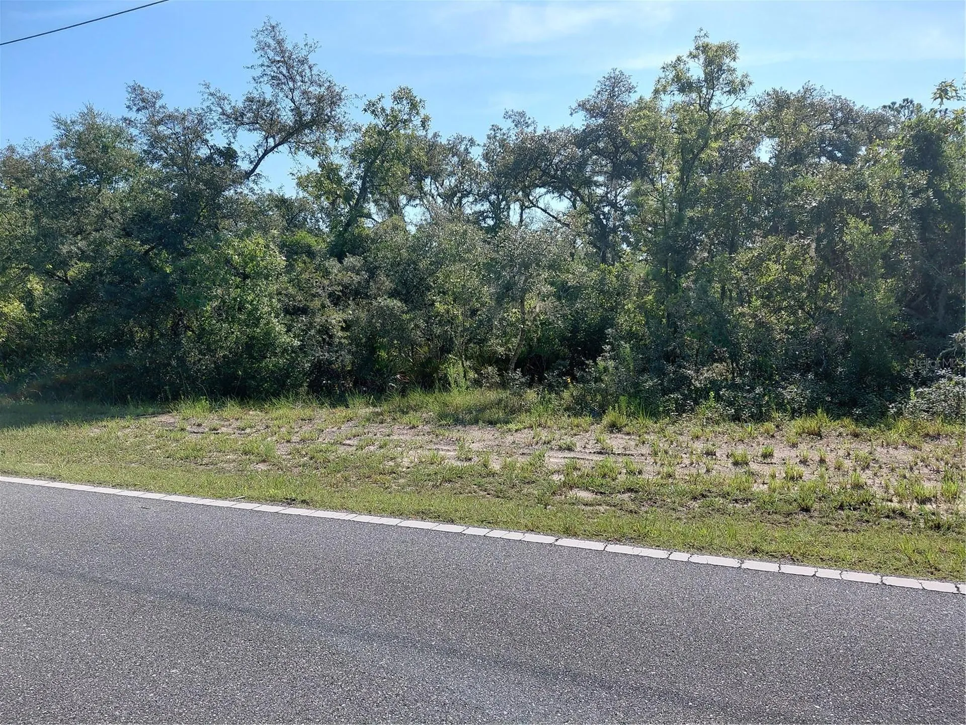 Wheystone Drive Webster FL 33597