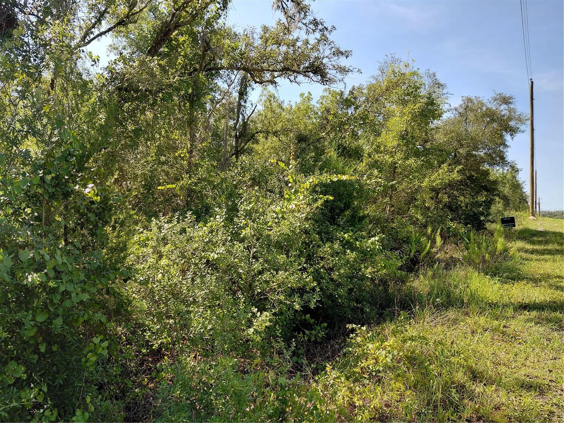 Wheystone Drive Webster FL 33597