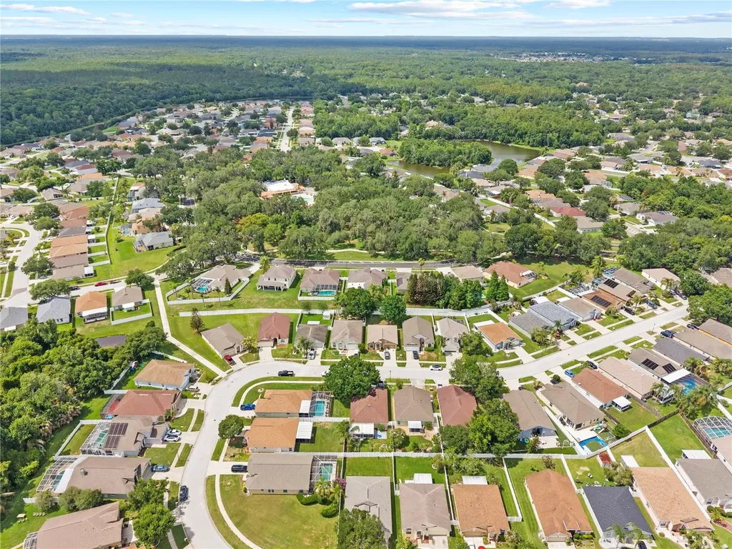 25237 Seven Rivers Circle Land O Lakes FL 34639
