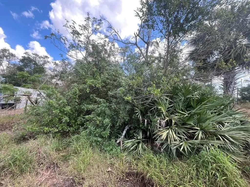 3608 Smithtown Road Sebring FL 33876