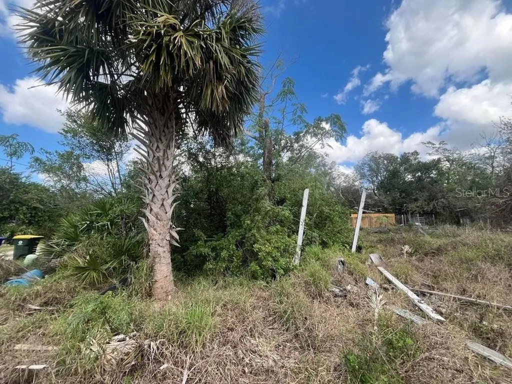 3608 Smithtown Road Sebring FL 33876