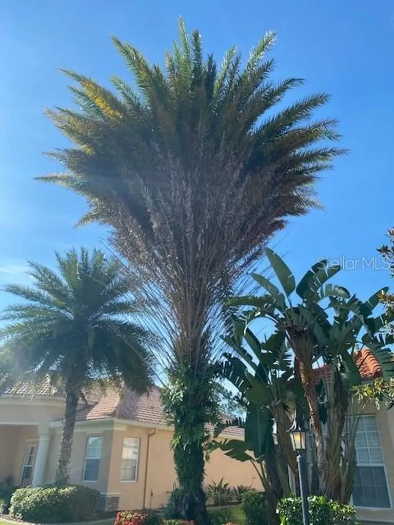 5570 Rock Dove Drive Sarasota FL 34241
