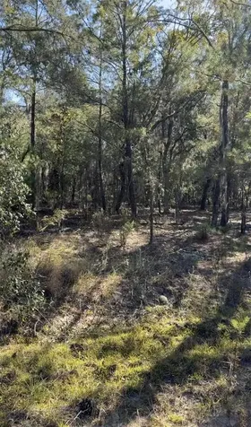 204 Wales Street Interlachen FL 32148