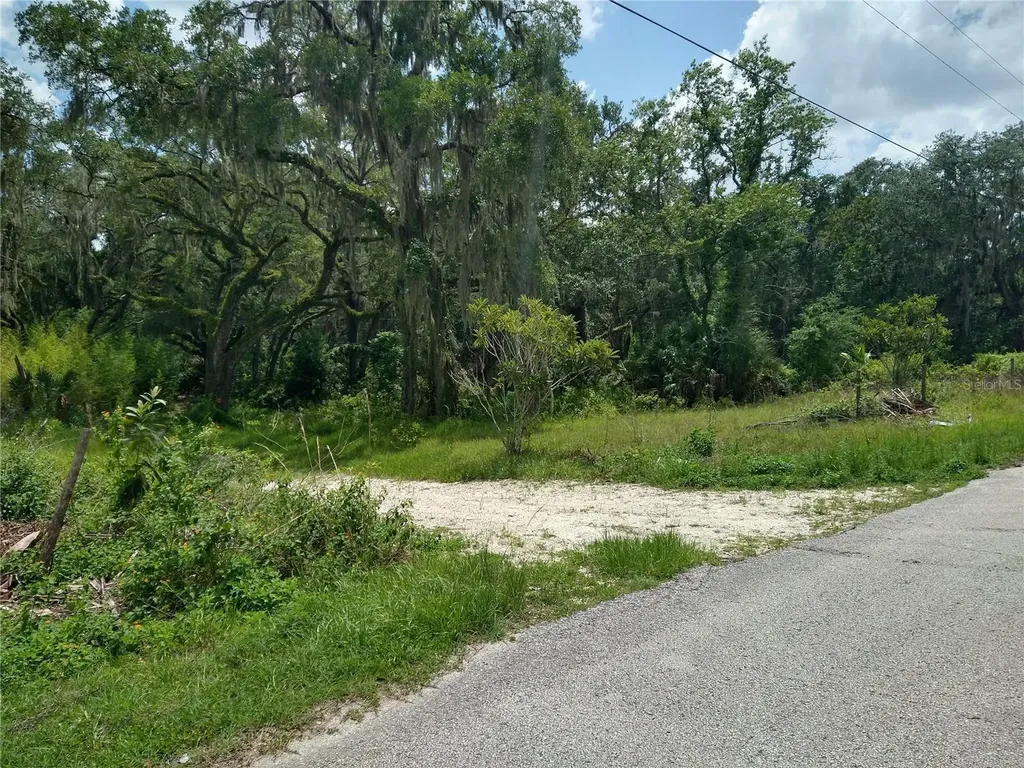 10616 Shady Drive Hudson FL 34669