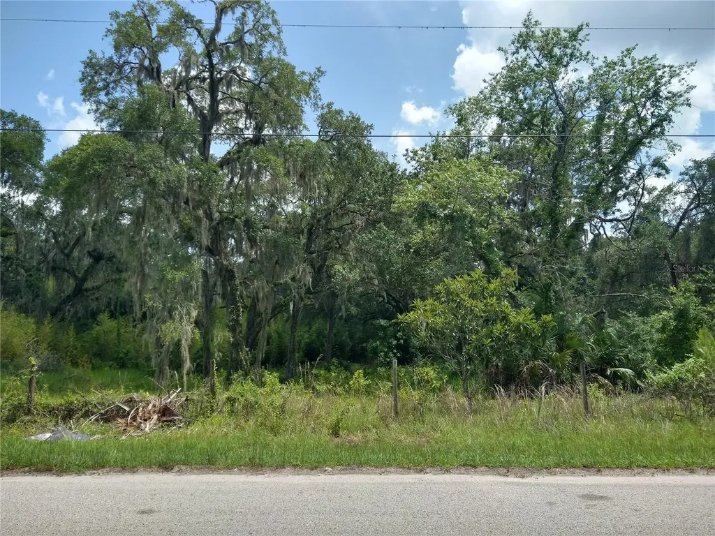 10616 Shady Drive Hudson FL 34669