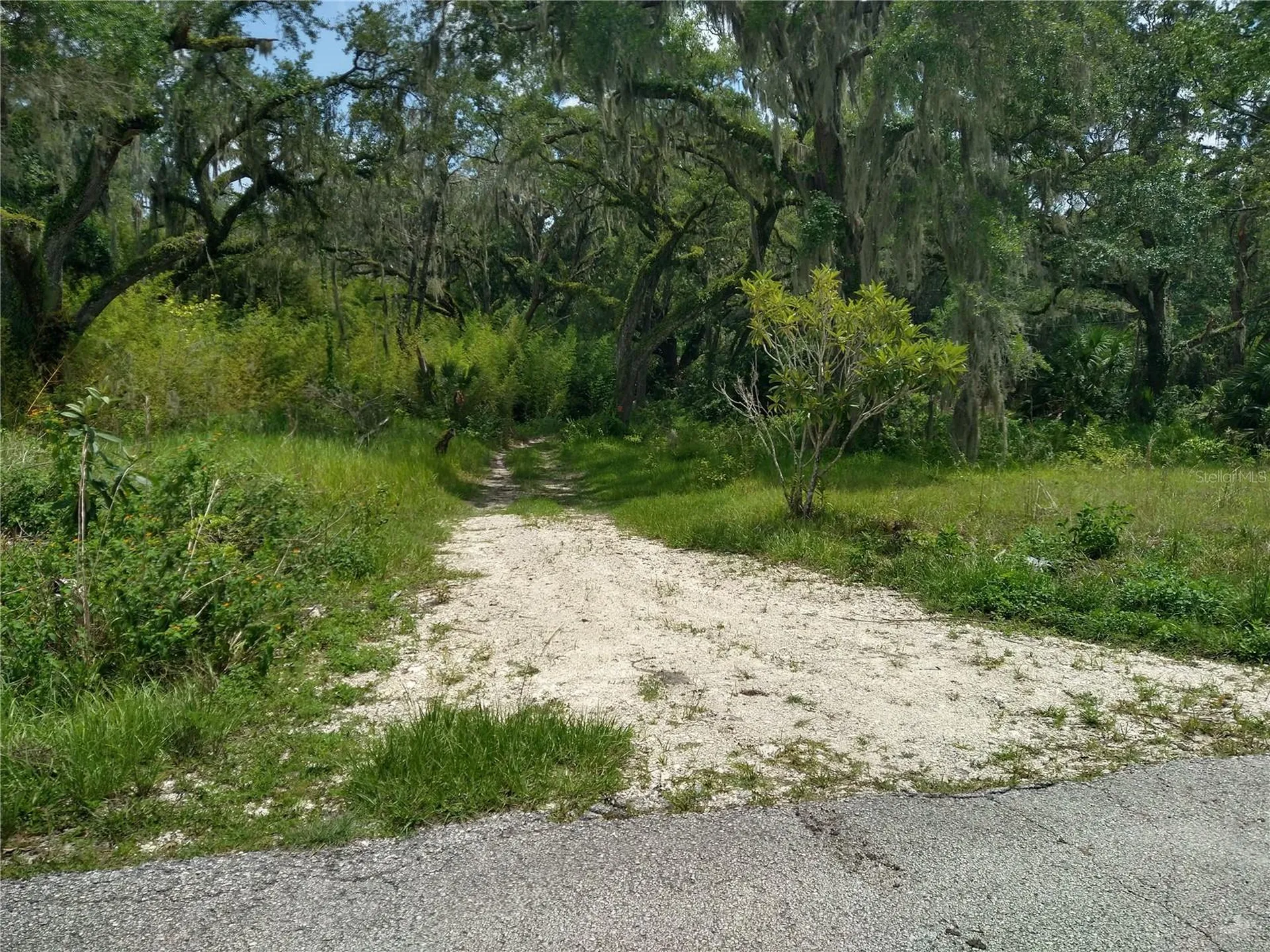 10616 Shady Drive Hudson FL 34669