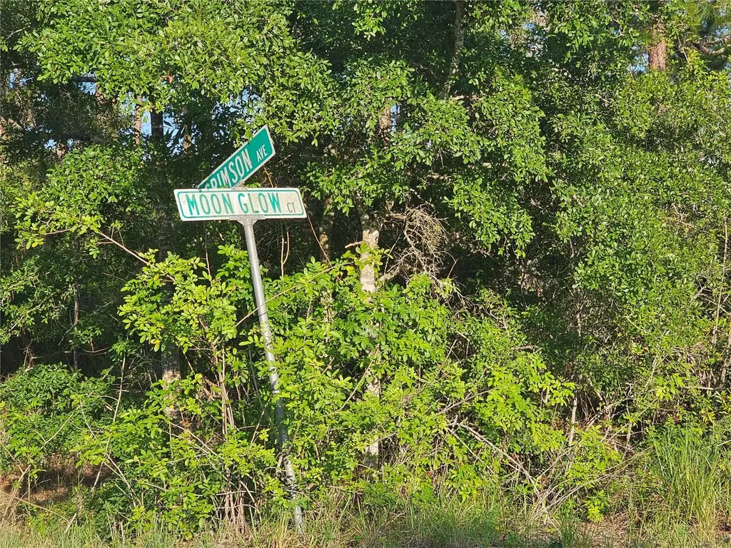 233 Moon Glow Court Lake Placid FL 33852