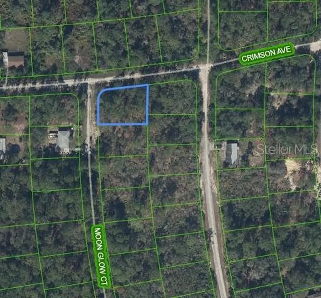 233 Moon Glow Court Lake Placid FL 33852