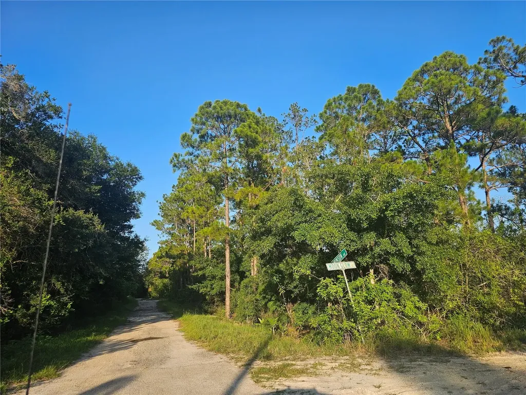 233 Moon Glow Court Lake Placid FL 33852