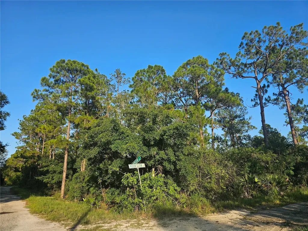 233 Moon Glow Court Lake Placid FL 33852