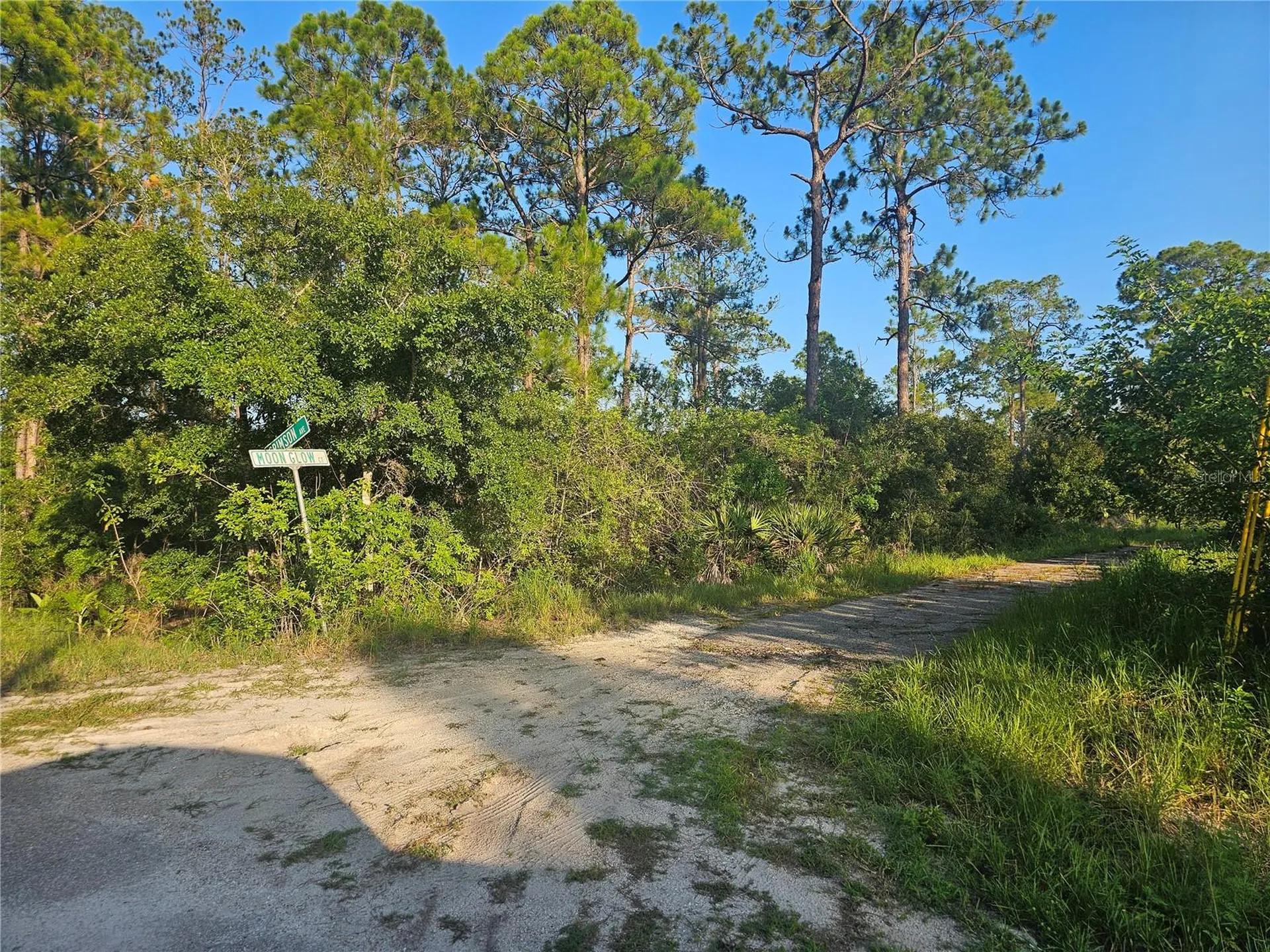 233 Moon Glow Court Lake Placid FL 33852