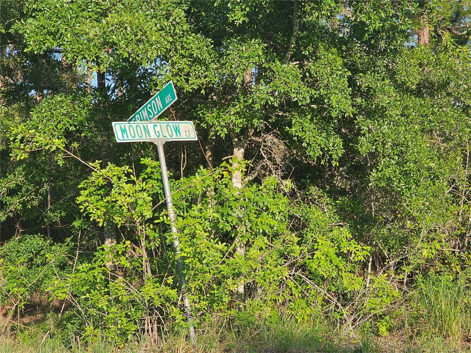 233 Moon Glow Court Lake Placid FL 33852