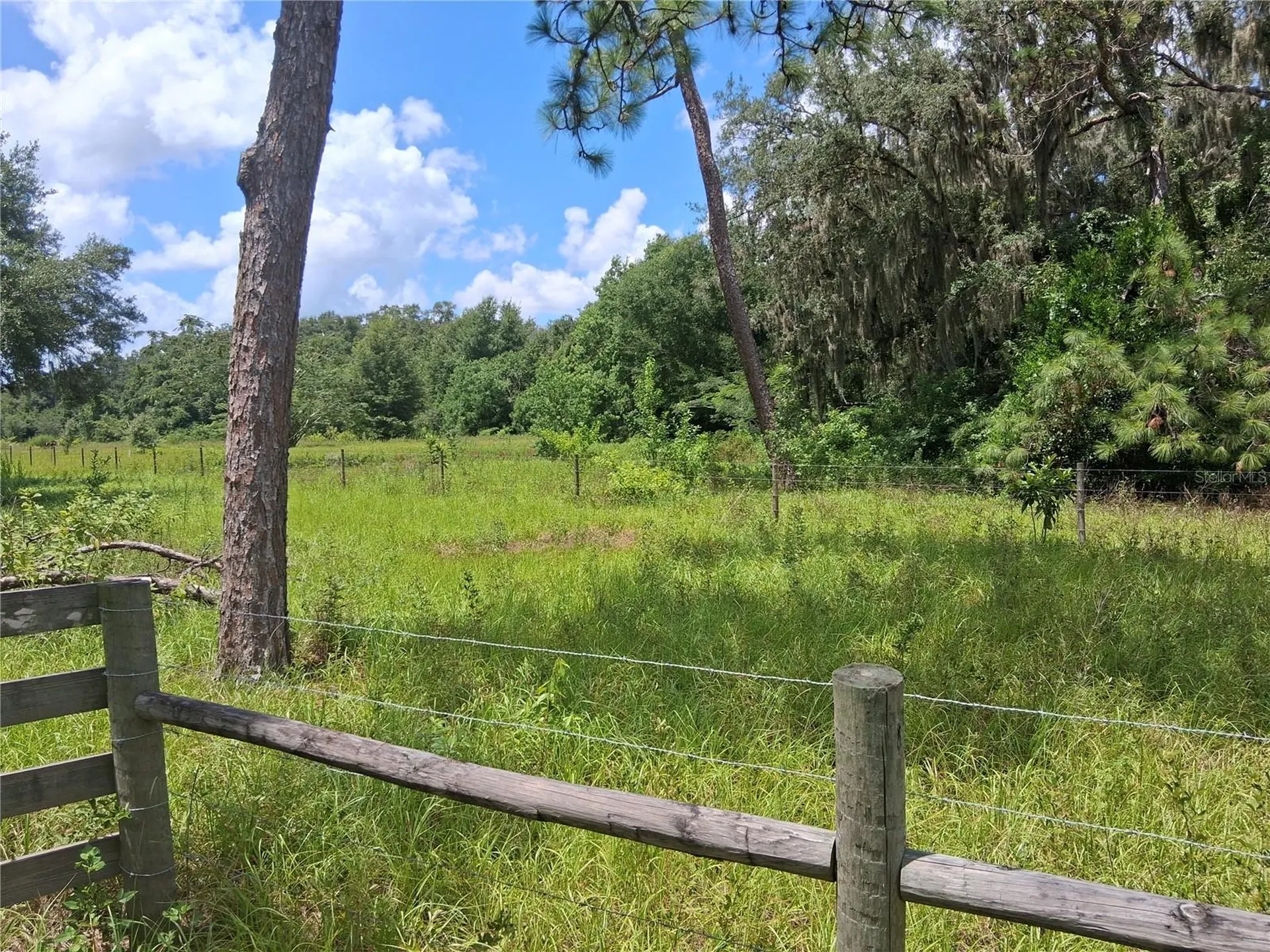 409 County Road 542e Bushnell FL 33513