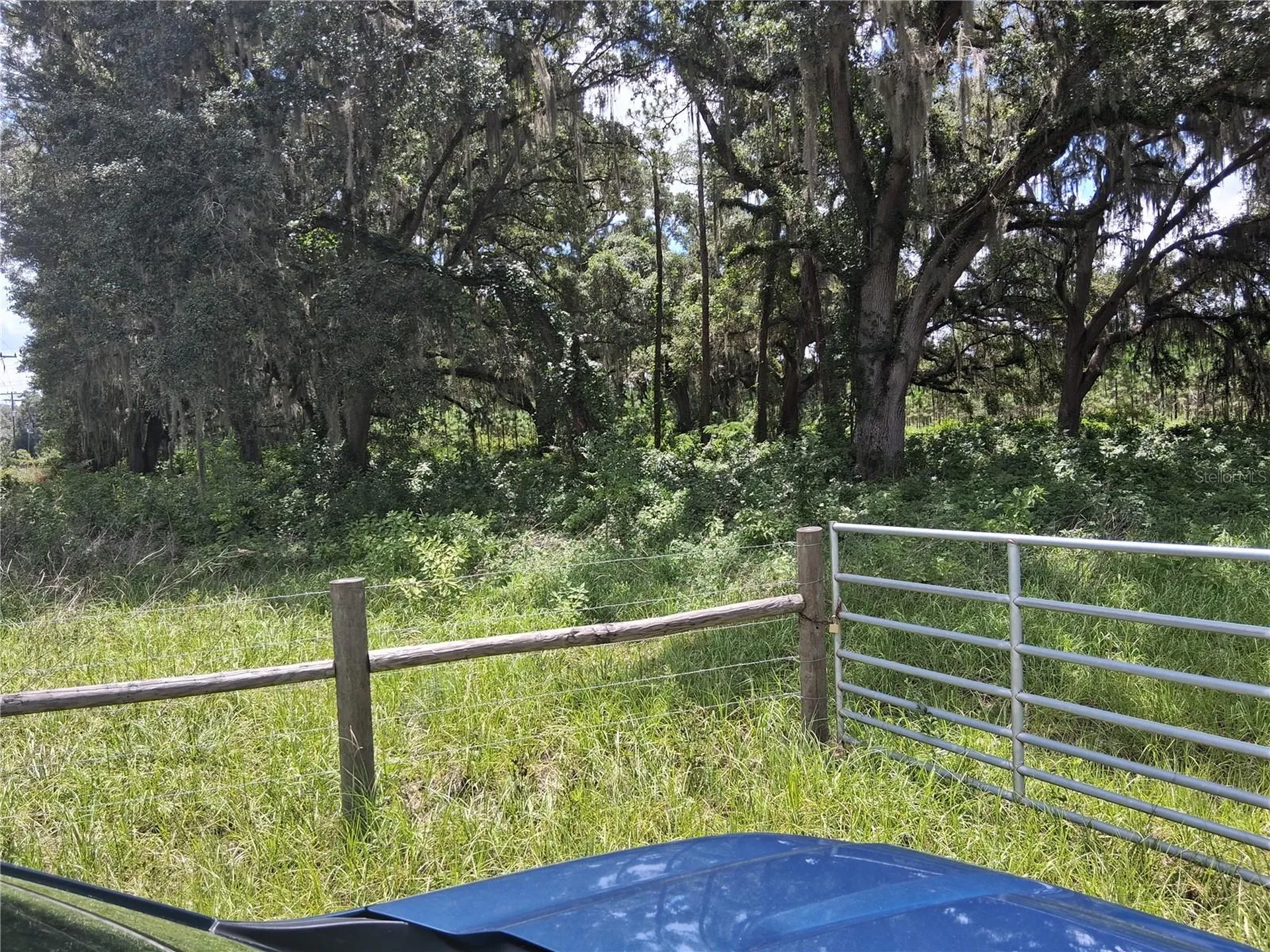 409 County Road 542e Bushnell FL 33513