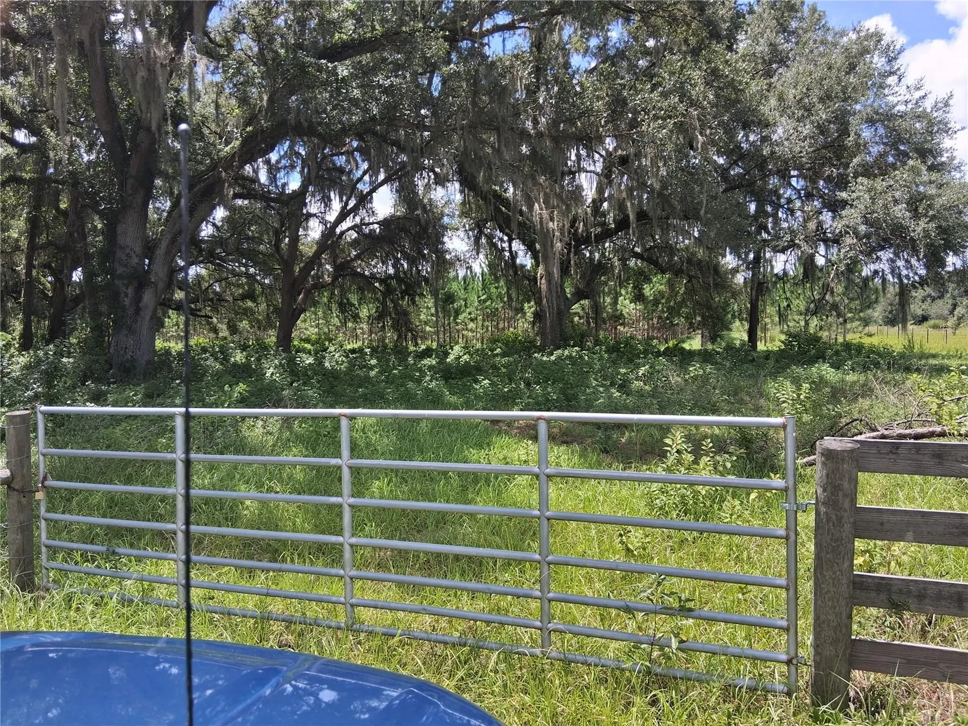 409 County Road 542e Bushnell FL 33513